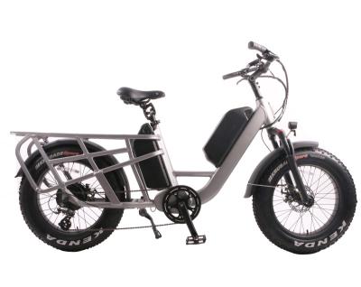 China Electric Cargo Bike 750W Two Wheels Hot Selling Aluminum Alloy Fat Dual Battery Food Delivery e Bike 20 Inch Tire With Big Luggage Carrier for sale