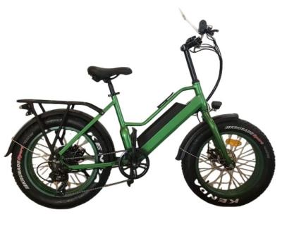 China Hot selling aluminum alloy 20 inch fat tire e bike 500W/750W hub motor with built-in 48V 14Ah lithium battery for sale