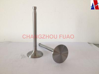 China Diesel Engine Parts Intake Valve and Exhaust Valve For Different Model Engine for sale