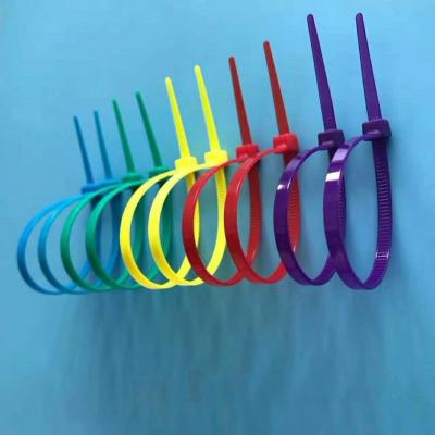 China Free Sample Available Nylon Cable Ties Easy Use Self-locking Type In Different Colors for sale