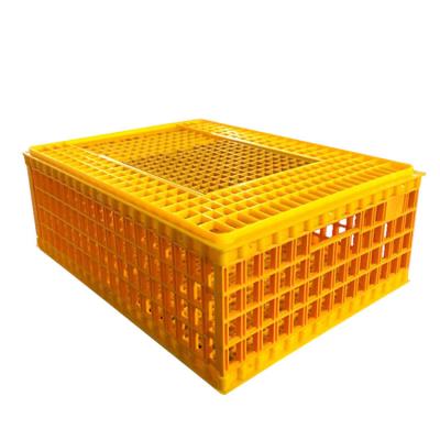 China Hot sale chicken broiler cage/cage/plastic transport box/broiler box for sale