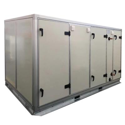 China Widely Used Hotels Special Design Controls Air Handling Unit Ahu for sale