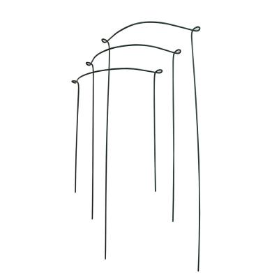 China Durable Garden Stake Plant Support Design & Construction Around Plant Support for sale