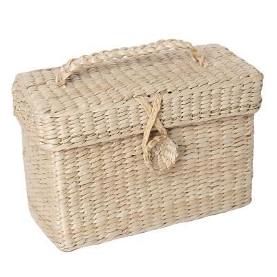 China Amazon Hot Sale Sustainable Sustainable Storage Bin Eco Friendly Grass Woven Straw Storage Box With Lid for sale