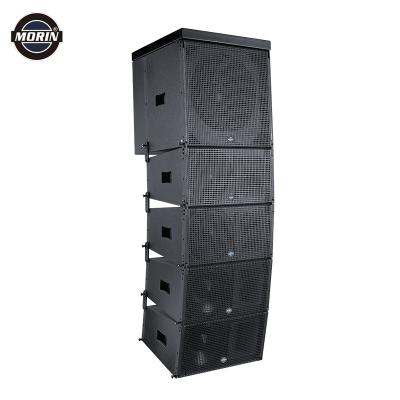 China Wholesale Professional Passive Line Array Speakers TW-12-f9bf for sale