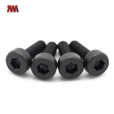 China Black Zinc Stainless Steel Fasteners China HEX Socket Cup Head Allen Bolt Screw for sale