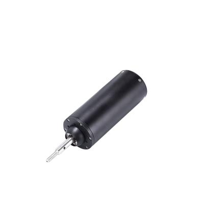 China BSW-65162 DC Motor Waterproof Brushless Motor Sea Scooter Motor For Jet Surfboard Electric Boat Electric for sale