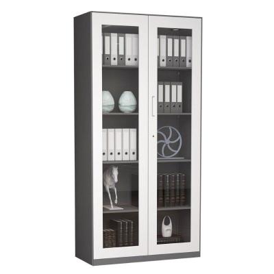 China (Size) 2 Door Steel Glass Metal Cabinet File Storage Door Cabinet Adjustable Solid Filing Cabinets for sale