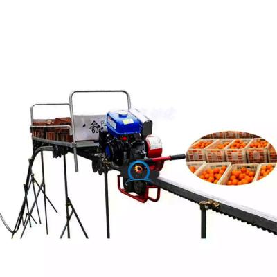 China Simple Operation Best Selling Climbing Track Carrier Monorail Agricultural Load Carrier for sale