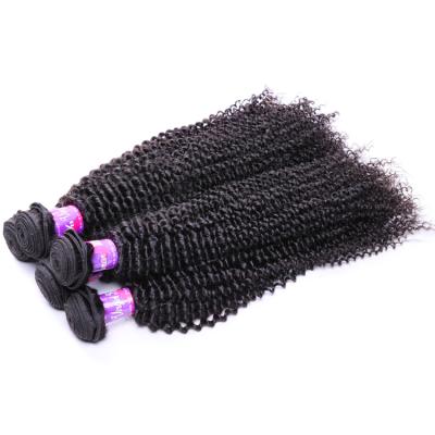 China 10A Virgin Brazilian Curly Unprocessed Brazilian Curly Human Hair Weft Natural Afro Curl Hair Products For Black Women for sale