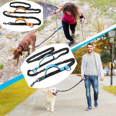 China Custom Nylon Reflective Bungee Dog Training Hands Free Walking Running Leash Viable for sale