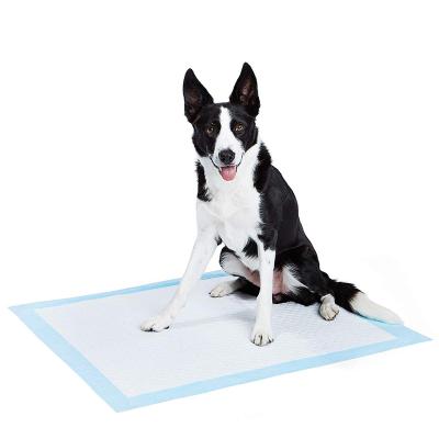 China Disposable Dog Stocked Pee Pad Puppy Training Super Absorbent Leak Proof Pet Protective Pad Wholesale for sale