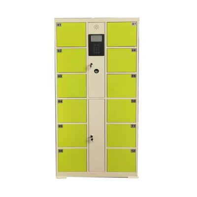 China Fingerprint delivery intelligent gym outdoor parcel locker system luggage locker with touch screen club gym locker for sale