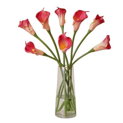 China Wedding Decoration AF23025 New Arrival Long Stem PU Calla Lily Flowers For Wedding Home Decoration Artificial Single Branch Real Touch for sale