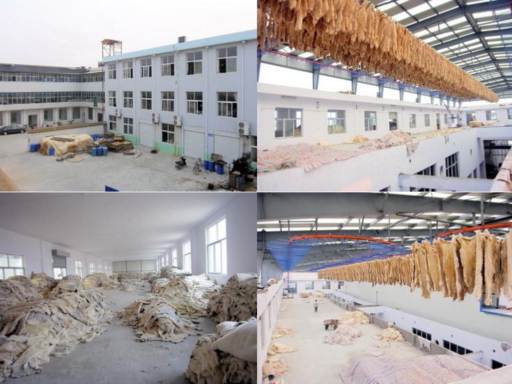 Verified China supplier - Henan Irwoods Industries Co., Ltd.