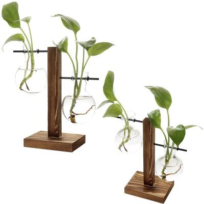 China New Design Retro Vintage Wooden Wall Rack Glass Hanging Planters Air Mini Greenhouse For Home Office for sale