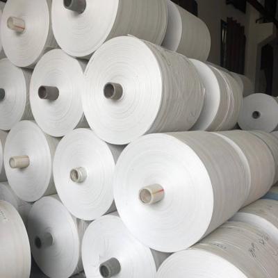 China Wholesale Factory Price Size OEM PP Woven Bag 1ton Woven Fabric PP Woven Bag Rolls Recyclable for sale