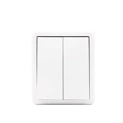 China Gang 2 1Way Lamp Switch Surface Mounted Newest Affordable Wall Switches European Switch Plate M20/L2/1 for sale