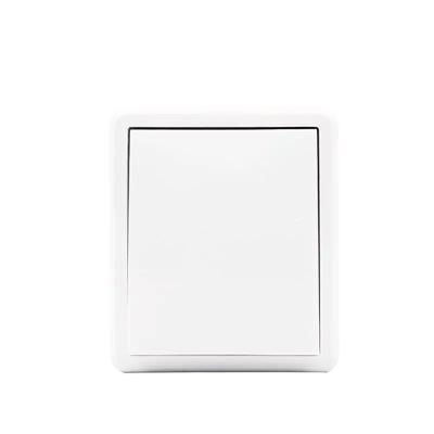 China Surface Mounted 1Gang 1Way Home Outdoor HOT Lamp Switch 10A 250V European Mounted Switch Plate for sale