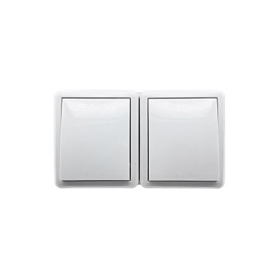 China Residential/Multi-Purpose CE Double 1 Gang 2 Way Lamp Switch IP44 Outdoor Wall Electrical Switches (Outdoor Mounted) for sale