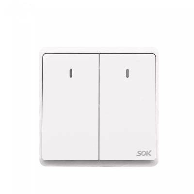 China Wall Switch Two Gang One Way Wall Switch With Neon Light Switches And Outlets 250V 16A With CE Certification for sale