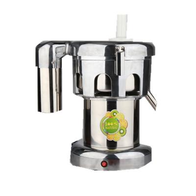 China Hotels Automatic Apple Juice Extractor Making Industrial Ginger Carrot Juicer Machine for sale