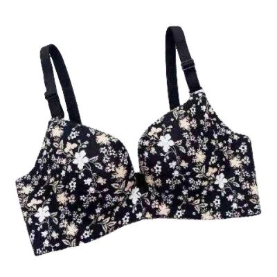 China Summer antibacterial young women collect a piece of spot light autumn underwear bra for sale