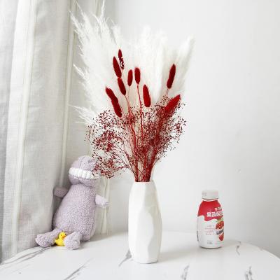 China Natural Factories Wholesale Bunny Tail Grass Baby's Breath Flower Pampas Grass Bouquet Dry Customized Flowers for sale