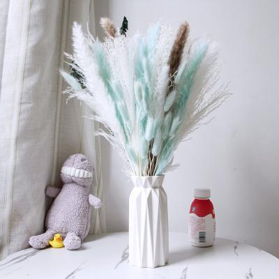 China Lagurus Ovatus Pampas Pompas Grass Bunch Bunny Tails Pampas Dried Flower Plants Boho Decor Natural Tall Natural Lagurus Ovatus Grass Bouquet for sale