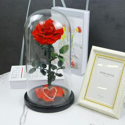 China valentines day gift preserved rose real in glass dome roses never withered flower gifts for her mothers day gifts 4.7*4.7*7.5 in / 12*12*20 cm for sale