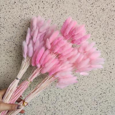 China Home Wedding Decorative Flowers Sage Tail Grass Wedding Decor Sage Dry Flower Bouquet White Hot Sale Amazon Color Customization for sale