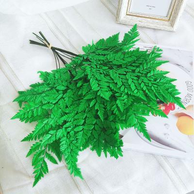 China Factory Supply Preserved Fern For Diy Leaves Flower Layout Pressed Flower 25*40 Cm Colored Leaves Preserved for sale