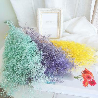 China Natural Plant Preserved DIY Small Dried Gypsophila Flower Million Star Flowers for Wedding Party Table Home Decoration for sale