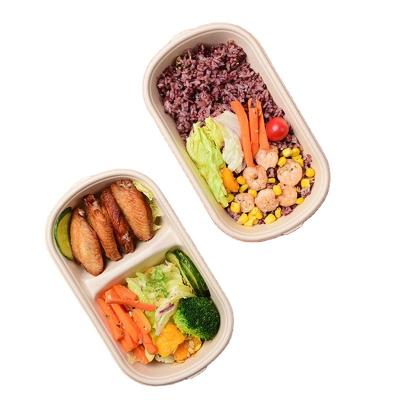 China Best Selling Disposable Low Price BO Takeaway Handmade Food Degradable Box for sale