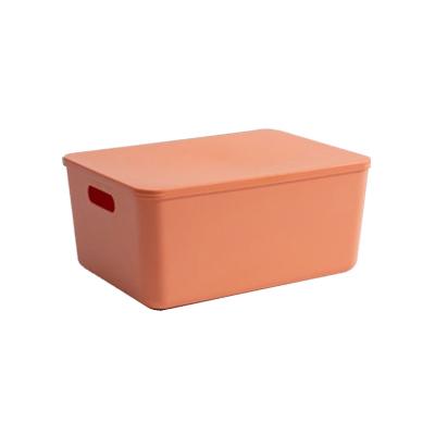 China Dropshipping Modern Super Hot Special Household Storage Boxes Plastic Storage Boxes for sale