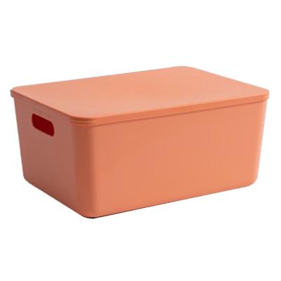 China Modern Economic Custom Design Plastic Storage Box Dropshipping Plastic Storage Box With Handle for sale