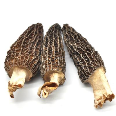 China New Dry Season 2021 Providing Great Texture Dried Nightshade Morchella Mushroom for sale