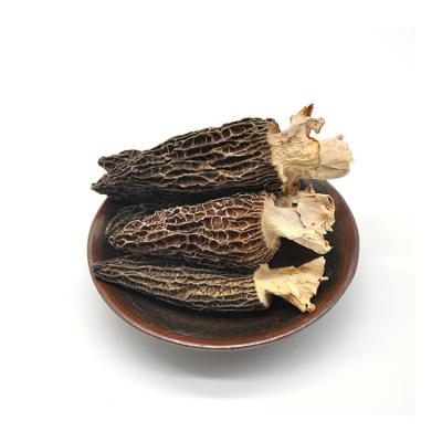 China Best Quality Natural Dried Nightshade Mushroom Grow Dried Fresh-Selected To Cultivate Morchella esculenta for sale