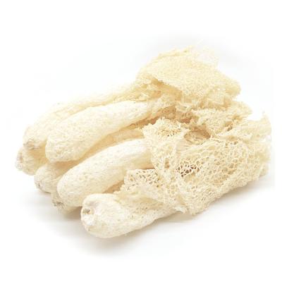 China High Quality Wild Dry Dictyophora Bamboo Mushroom with Wholesale Price for sale