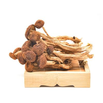 China Special Hot Selling High Quality Dried Mushroom Food Dried Tea Tree Mushroom for sale