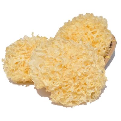 China Additives Best Big Tremella High Quality Dried Wild Whole Flower Tremella Zero Dried White Mushroom for sale