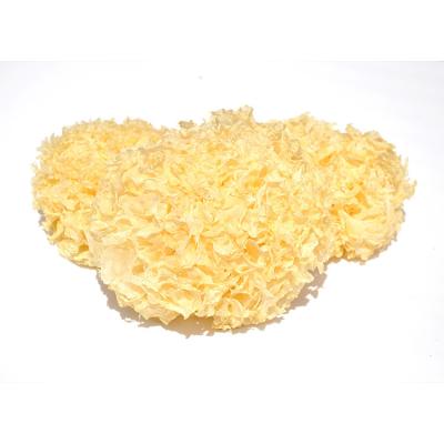 China Zero Additives Wholesale Organic White Tremella Jelly Fungus Mushroom Dry Premium Grade for sale