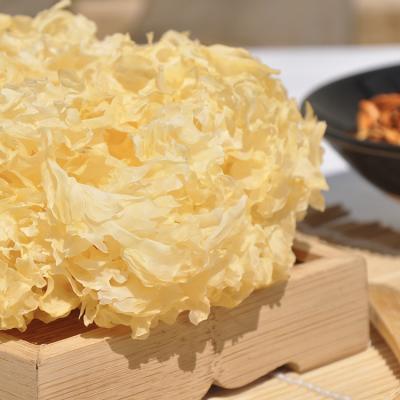 China New Dried Boat Mushroom Yin Er Dried Wild Tremella Fuciformis Organic Free Idiot Spreads Snow Ear High Quality White Mushroom for sale