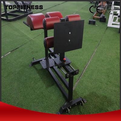 China Steel Preacher Curl Bench Roman Chair for Strong Body Design Home Fitness Equipment for sale