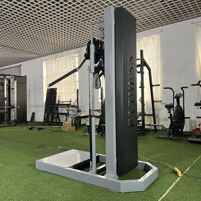 China Top-1079 Gym Fitness Equipment With Side Raise Weight Bearing Strength for sale