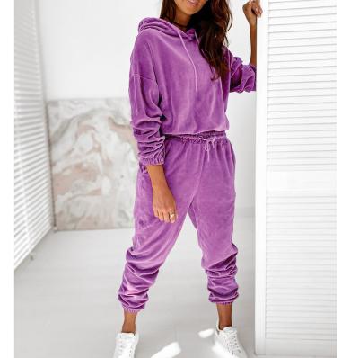 China QUICK DRY Casual Lounge Wear For Women Set Ladies Long Pants Hairy Tracksuit Loungewear for sale