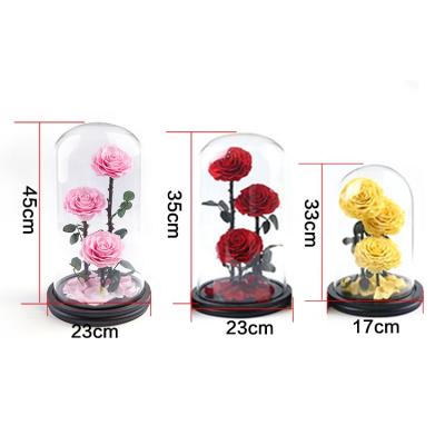 China Natural Whole Sale Fresh Flower Dusty Rose Immortal Flower Glass Cover Preserved Roses Glass Dome for sale