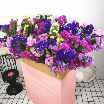 China Environmental protection real green natural preserved forget-me-not forget me not flower lasting dry flower for girlfriend gift for sale