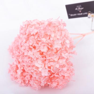 China Environmental protection wholesale natural green Anna single stem preserved hydrangea for wedding home decoration for sale