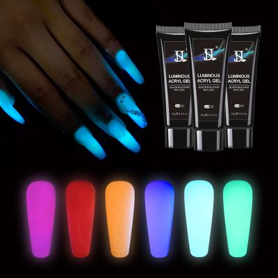 China Personal use for DIY and nail art for nail Art Products Acrylic Nails Glow dark luminous acrylic poly gel salon new product for sale